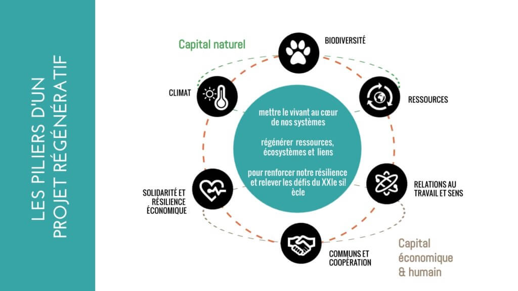 L'économie régénérative : qu'est-ce que c'est - Les 6 piliers d'une économie régénérative - Crédit Open Lande