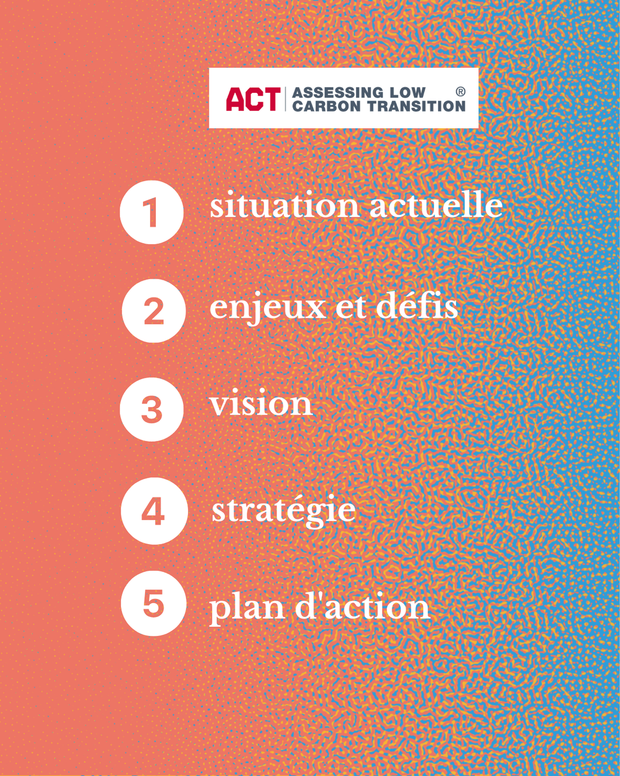 ACT les étapes 1 situation actuelle 2 enjeux et défis 3 vision 4 stratégie 5 plan d'action